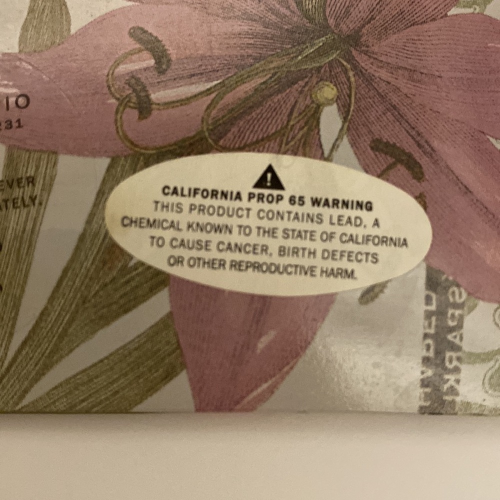 ❌Donated❌Small “Winter Botanical” Dish - Picture 5 of 8
